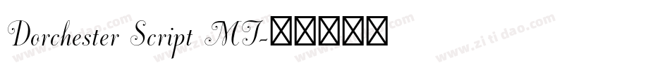 Dorchester Script MT字体转换
